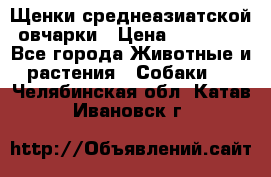 Щенки среднеазиатской овчарки › Цена ­ 20 000 - Все города Животные и растения » Собаки   . Челябинская обл.,Катав-Ивановск г.